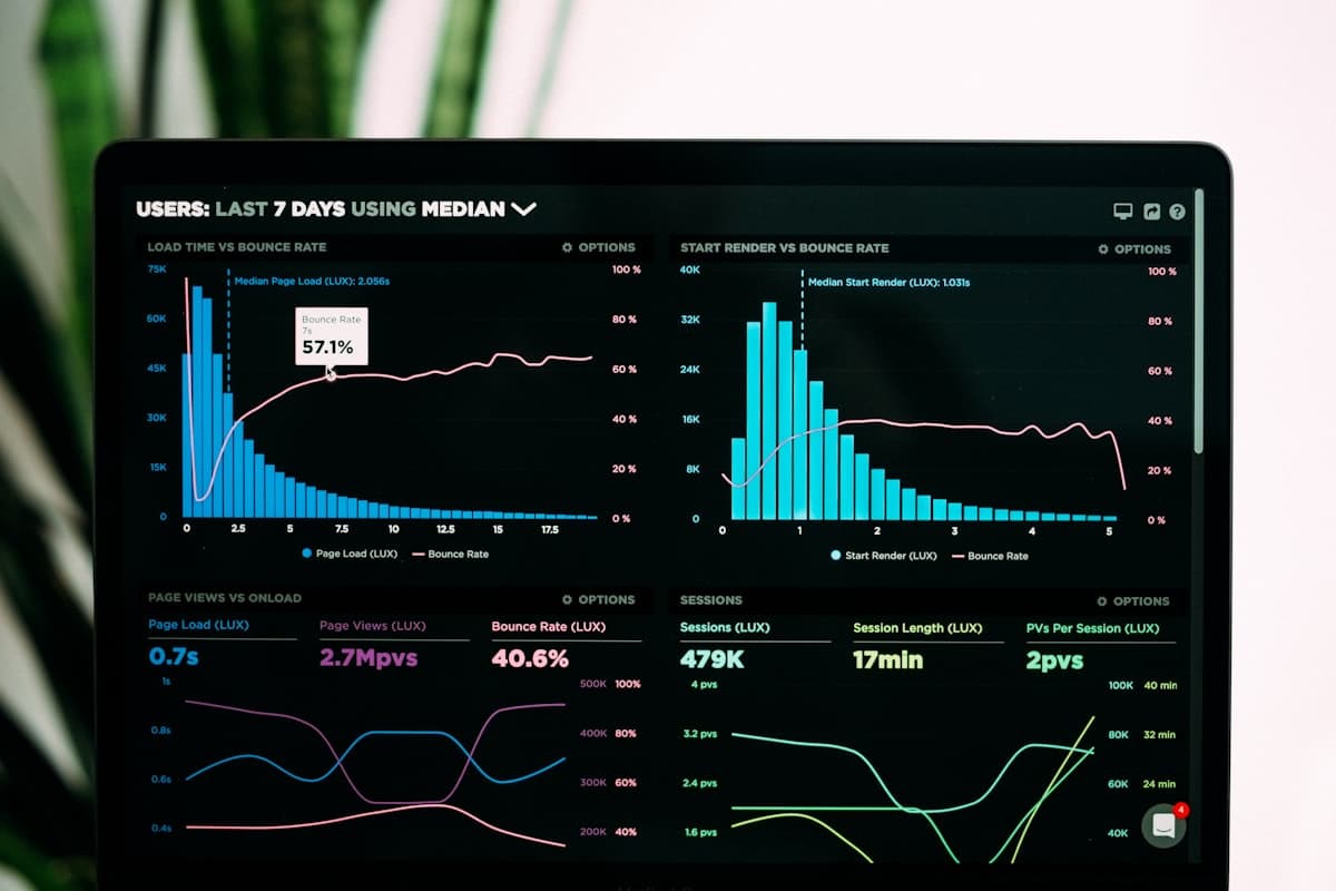 Data Analyst at work